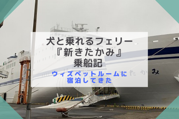 太平洋フェリー 新きたかみ 乗船記 ウィズペットルームに愛犬と宿泊 まいにちrainbow