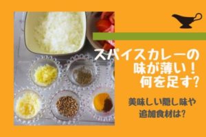 プロに聞いたカレーの隠し味は何を入れる 家で作れる秘密の方法 まいにちrainbow