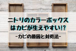 実録 駐車場に知らない車が止まっている時は 警察呼んで大丈夫 まいにちrainbow