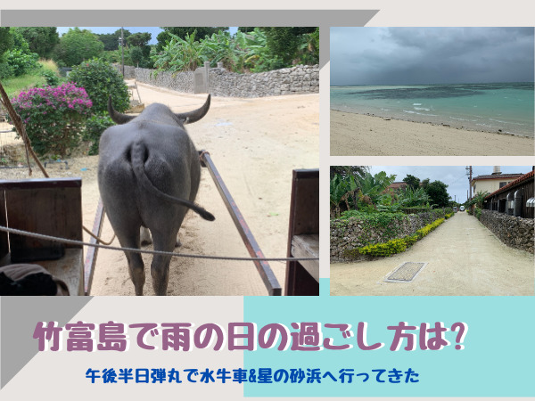 竹富島で雨の日の過ごし方は 午後半日観光で水牛車 星の砂浜へ行ってきた まいにちrainbow