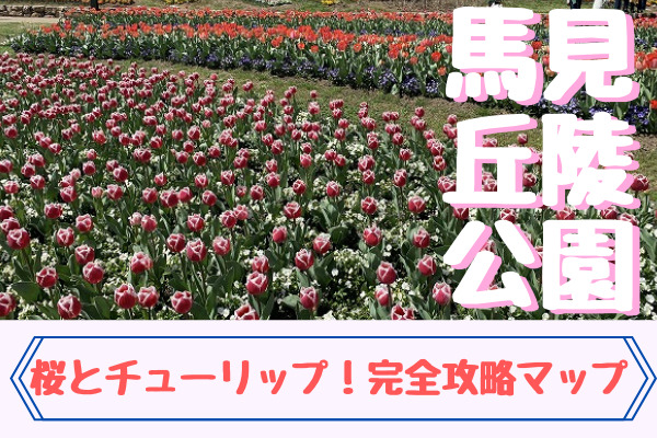 馬見丘陵公園の桜とチューリップ 場所はどこが見どころ 完全攻略マップ まいにちrainbow